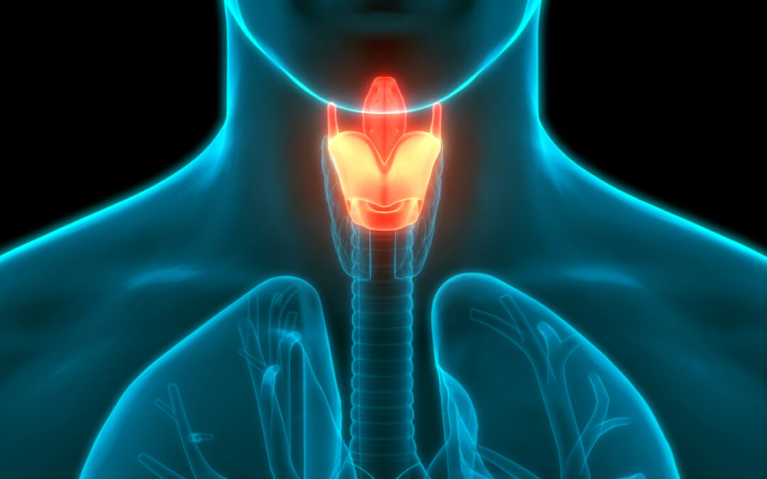 Fibroscopia laringea, come si esegue e le domande più comuni