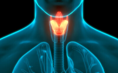 Fibroscopia laringea, come si esegue e le domande più comuni